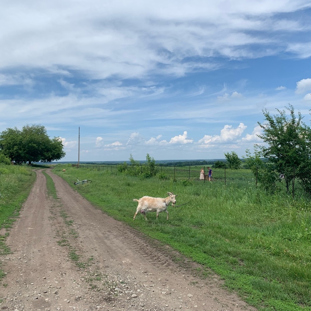 Meet your Posher, Alex!